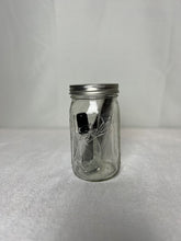 Load image into Gallery viewer, Vanilla Extract kit
